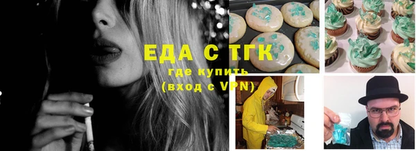 мдпв Богородск