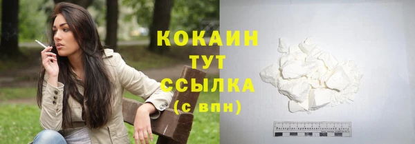 шишки Няндома