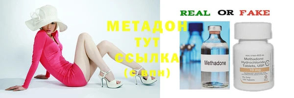шишки Белокуриха