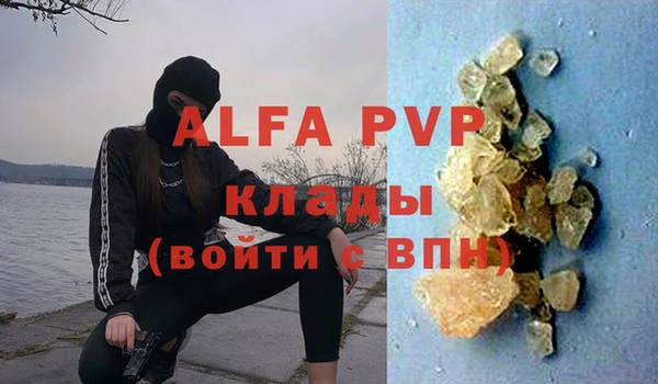шишки Белокуриха