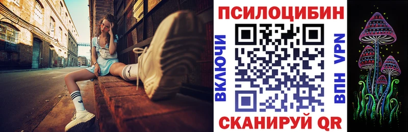 Псилоцибиновые грибы Psilocybine cubensis Купить Байкальск
